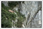 MichelMaillard20210711