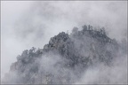 SandrineKapis20210905