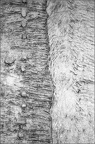 CatherineDenisot20230810