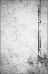 CatherineDenisot20230811