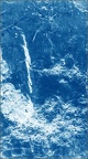 CatherineDenisot20230814