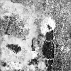 CatherineDenisot20230711