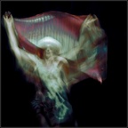 CatherineDenisot20230716