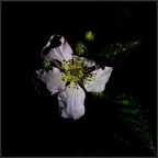 GuyEichelberger20230502