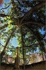 LucBousaroque20230123
