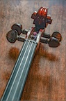 M%ichelMaillard21