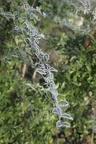 HerveCampenon20250164-BorderMaker