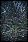 JeanPaulMonier20241156-BorderMaker
