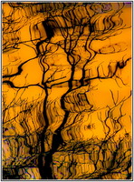 PhilippeSabater20260122