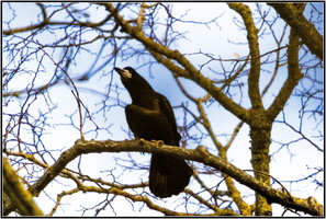 SophieMartins20260142