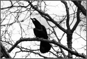 SophieMartins20260143