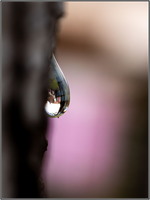 SophieMartins20260144