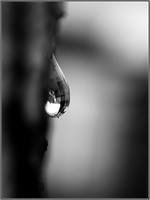 SophieMartins20260145