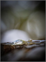 SophieMartins20260146