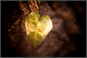 SophieMartins20260147