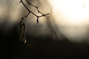 SophieMartins202602109