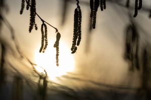 SophieMartins202602110