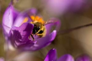 SophieMartins202602111