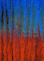 PhilippeSabater202603095