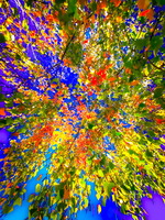 PhilippeSabater202603099