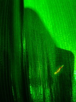 PhilippeSabater202603101