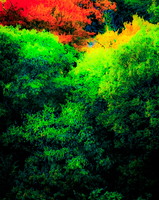 PhilippeSabater202603102