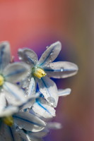 SophieMartins202603111