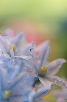 SophieMartins202603114