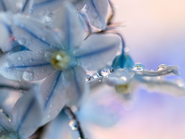 SophieMartins202603115