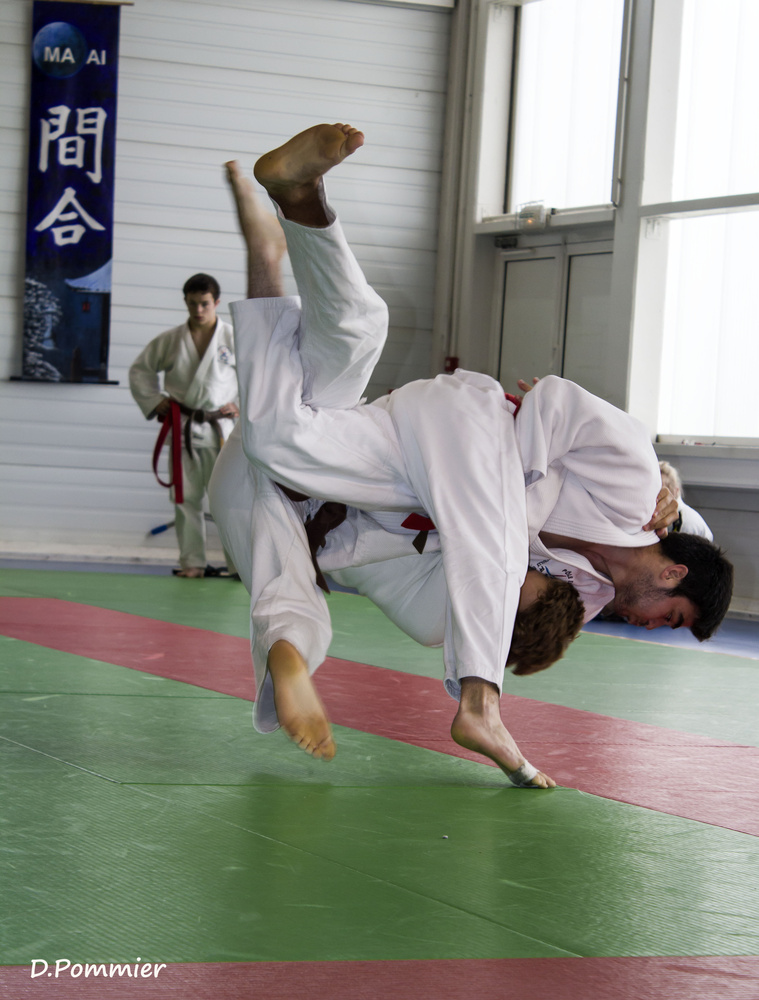 Judo