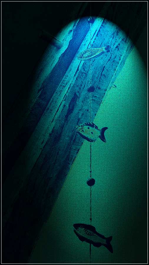 21 CatherineD Sur un Axe0S