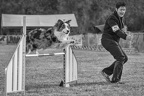 Jo-13-La passion de l'agility dog