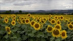 IMG 8672bb