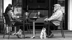 La vie en ville