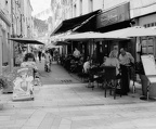 IMG 7677 4