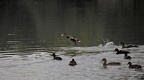 IMG 7696
