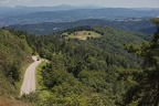 IMG 7850