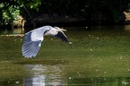  C3X8908-ORF DxO DeepPRIMEM