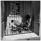 EN CAGE