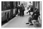 IMG 0228 copie