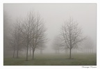 IMG 0891 copie