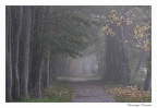 IMG 0903 copie