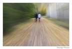 IMG 0588 copie