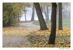 IMG 0643 copie