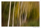 IMG 0701 copie