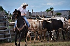 0005 -Longhorn Ranch