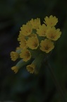 06 2105 1D27166