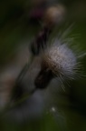 07 2107 1D28434