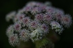 10 2107 1D28416