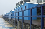 DSC 8721